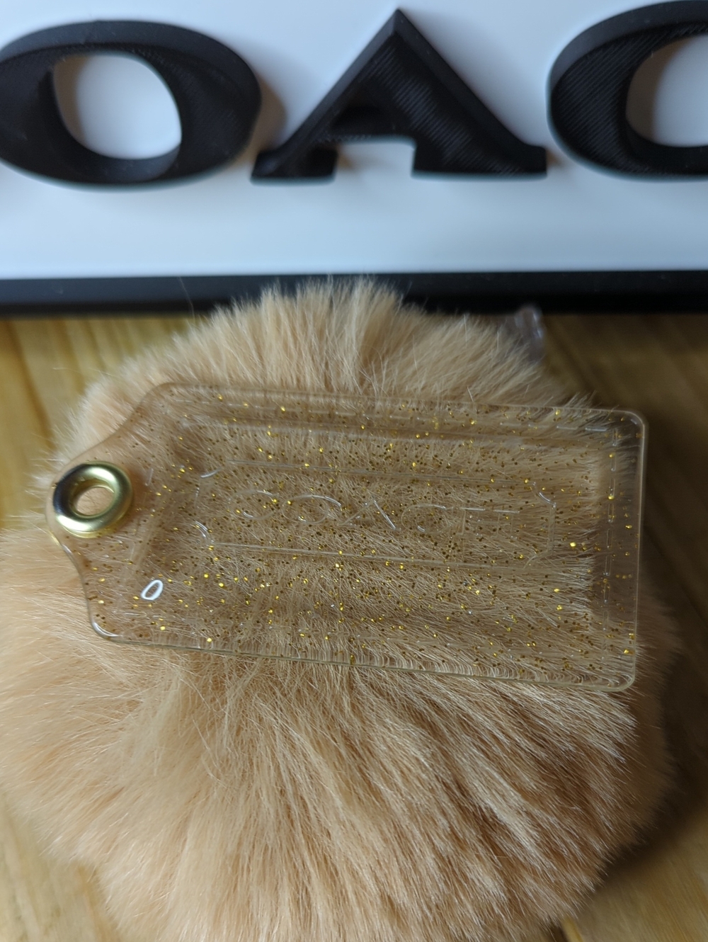 (0038) Coach Clear Acrylic Gold Glitter Hang Tag